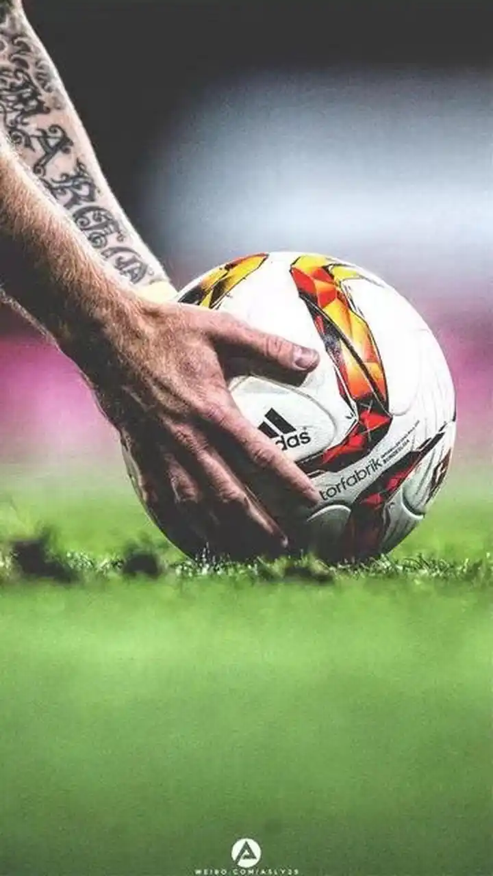 例如菲尔 例如菲尔