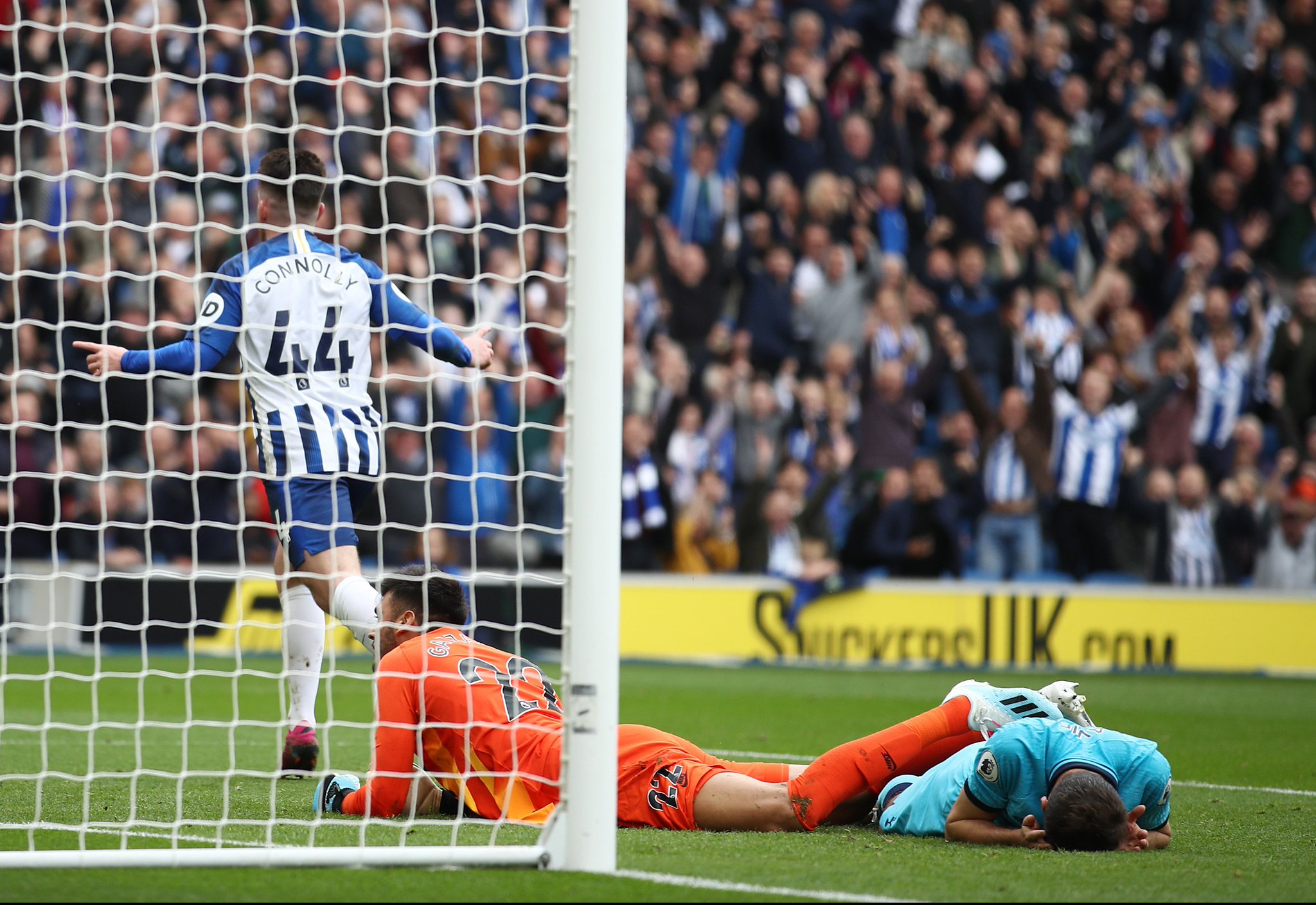 的从容与坚 的从容与坚